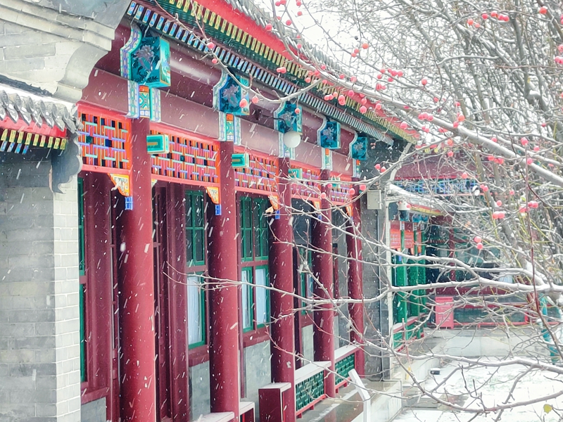 7卢宏源 拍摄.jpg