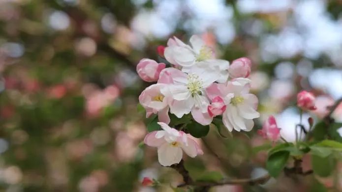 640 (1).jpg 640 (1).jpg